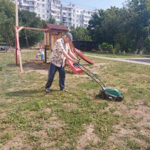 Salubrizarea teritoriului IET nr. 155