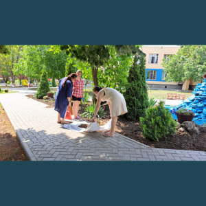 Colectivul IET nr.225, bd.Mircea cel Bătrân, 14/2 depun străduință în salubrizarea, menținerea teritoriului instituției în ordine!