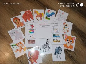 Materiale didactice laminate. Livrăm prin poştă