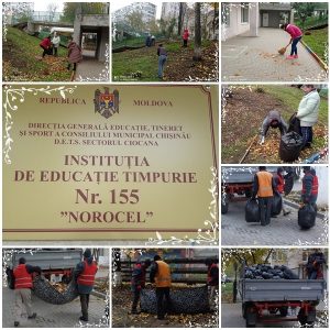 Toamna este unul din cele patru anotimpuri ale climei temperate