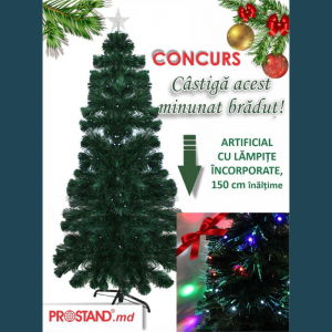 Concurs: câștigă un minunat brăduț!