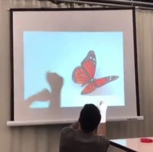 This is so entertaining