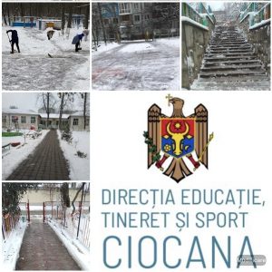 Munca făcută cu pasiune aduce rezultate frumoase!