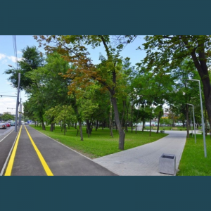 Reconstrucția terenului de sport al Liceului cu profil sportiv nr. 2 a fost inclusă în lista proiectelor propuse spre implementare prin parteneriat public-privat