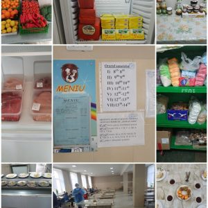 Organizarea alimentației elevilor în LT ,,Ștefan Vodă”, or. Vadul luiVodă!