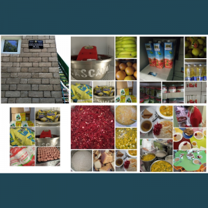 Organizarea alimentației copiilor în Instituția de educație timpurie nr.161, str. Al. Russo, 61/3 