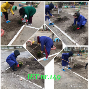 Un arbust pentru dăinuirea noastră