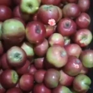 Instituția IET nr.212, str. N.M.Spătaru 3/1 , asigură o alimentație sănătoasă, care conține o varietate echilibrată de produse.