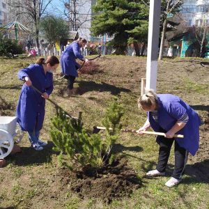 Orice loc pe Pământ este un colț de Rai, dacă știm a munci și a iubi natura…