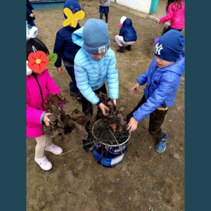 Micii Ecologiști din I.E.T. nr.32 “Albinuța” zilnic au grija de natura , de tot ce este jurul nostru !