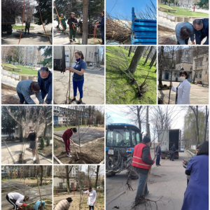 Înverzirea plaiului – 2021!