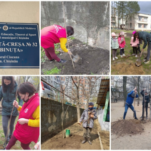 Acțiunile de salubrizare/înverzire a teritoriului