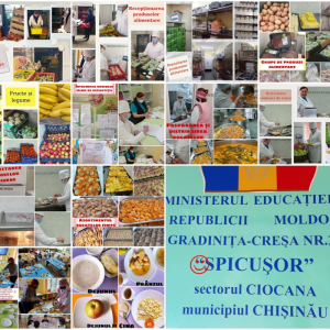 Organizarea alimentației copiilor în instituția de educație timpurie include un complex de măsuri