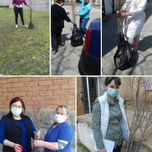 Înverzirea plaiului – 2021!