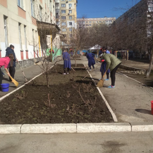 Curățenia generală stăpânește teritoriile instituțiilor de educație timpurie din sector