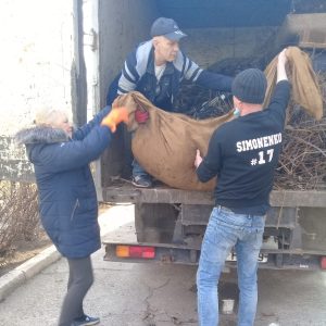 Cel mai curat teren școlar