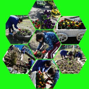 Primăvara în culorile curcubeului