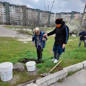 Un arbore pentru dăinuirea noastră