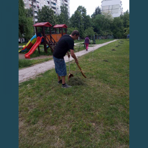 IET nr. 161 respectă cerințele de salubrizare a terenurilor aferente/adiacente ale instituției