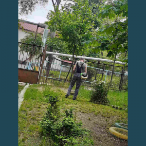 Organizarea și desfășurarea acțiunilor de salubrizare