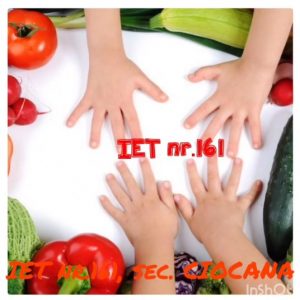 Organizarea procesului de alimentație în Instituția de educație timpurie nr.161, str. Al. Russo, 61/3!