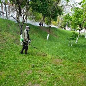 Salubrizarea terenului aferent/adiacent continuă. Obiectivul de zi : cositul ierbii