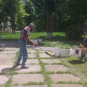 Organizarea și desfășurarea acțiunilor de amenajare și salubrizare teritoriului