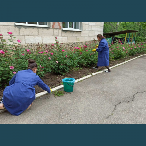 Instituia de educație timpurie nr.32, str.M.Sadoveanu 2/2