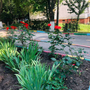 Instituția de educație timpurie nr.188, str.Igor Vieru,5/2