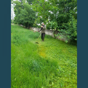 Salubrizarea teritoriului aferent/adiacent al instituției de învățământ Școala primară nr.82, str.M.Dragan, 8/2