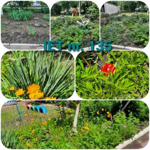 IET nr.135, str. M. Sadoveanu, 6/2. IET nr.32, str.M.Sadoveanu, 2/2