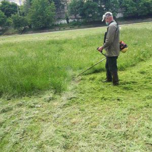 Salubrizarea. Situația la zi – cositul ierbii