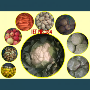 Procesul alimentar în IET nr.184