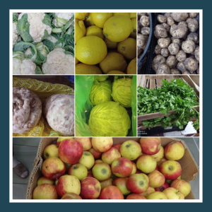 Organizarea procesului alimentar în IET nr.161, str.Al.Russo, 61/3