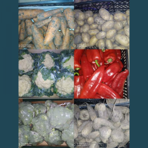 Procesul alimentar în IET 177 conform Standardelor