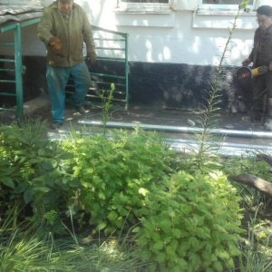 Au fost alocate mijloace financiare pentru reparația  IET nr.130 str. P.Zadnipru, 6/2