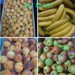 Procesul alimentar în IET nr. 197