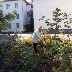 Campania municipală de salubrizare de toamnă (evacuarea frunzișului) este în toi.
