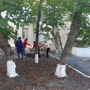 Angajații IET nr. 179 evacuează frunzișul acumulat în urma salubrizării teritoriului