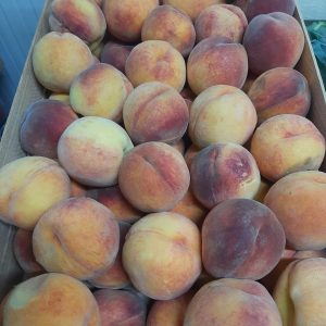 Procesul alimentar in IET 197, str.Mircea cel Bătrîn, 4/2