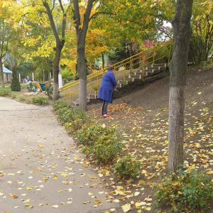 Angajații IET nr.225, bd. Mircea cel Bătrân, 14/2 desfășoară acțiuni de salubrizare în cadrul  Campaniei municipale „ Curățenia generală de toamnă !”