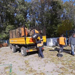 Zilnic, angajații salubrizează și evacuiază frunzișul de pe teritoriile instituțiilor de învățământ