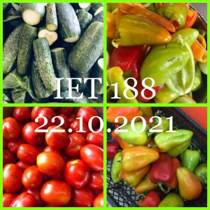 Angajații Instituției de educație timpurie nr.188, str.Igor Vieru, 8/2 asigură zilnic procesul de alimentație calitativă a copilașilor