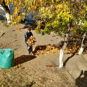 Salubrizarea zilnică a terenului aferent, adiacent al școlii primare nr.83, str.N.M.Spătaru 13/3.