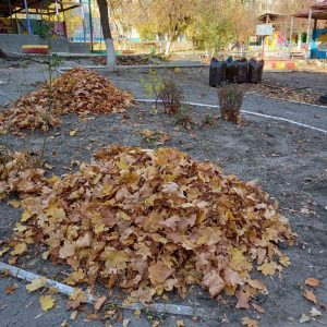 Salubrizarea terenului Instituției de educație timpurie nr.188, str. Igor Vieru, 8/2