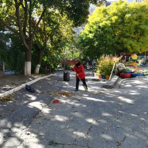 Curățenia generală de toamnă IET nr.184