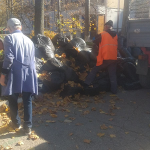 Salubrizarea terenului și evacuarea frunzișului de pe teritoriul IET nr.225, str.M.cel Bătrân, 14/2