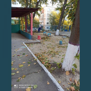 Angajații IET nr. 32 se implică activ în campania „Curățenia generală de toamnă !”