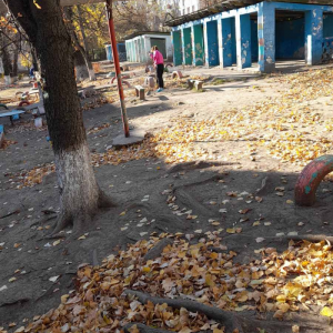 Salubrizarea zilnică a terenului aferent, adiacent al instituției nr.138, str.M.Dragan , 6/1