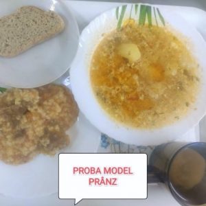 Procesul alimentar în sectorul Ciocana